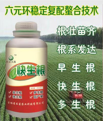 快生根