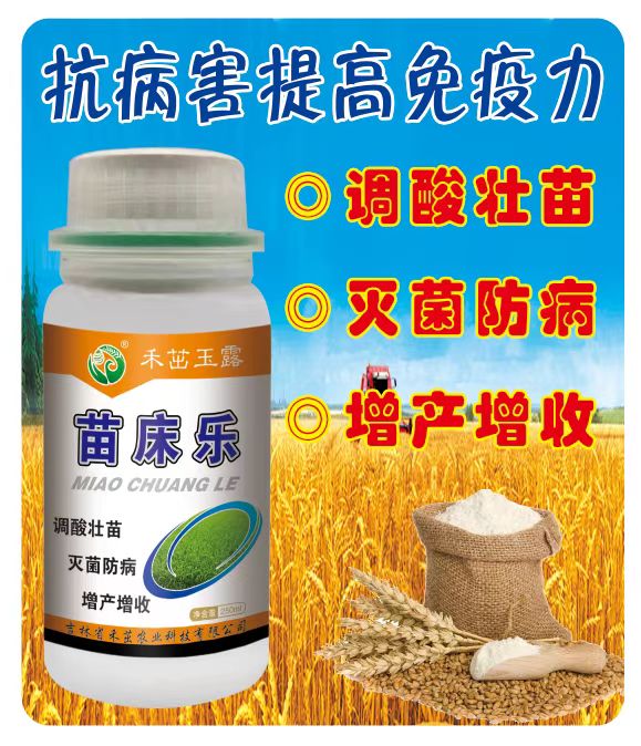 苗床乐